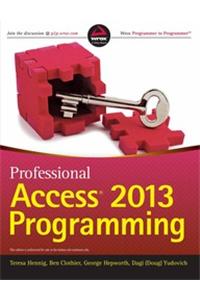 Professional Access 2013 Programming