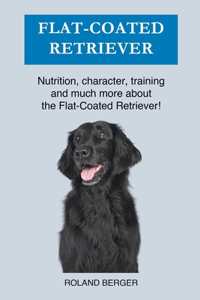 Flat Coated Retriever