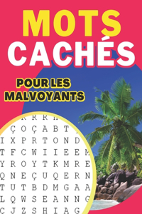 Mots cachés pour les malvoyants