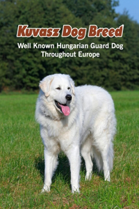 Kuvasz Dog Breed