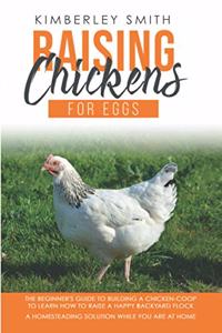 Raising Chickens For Eggs