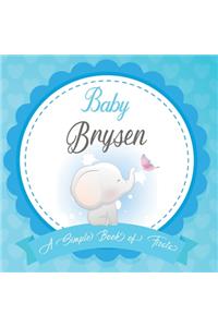 Baby Brysen A Simple Book of Firsts
