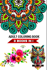 3 books in 1 adult coloring book