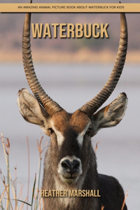 Waterbuck