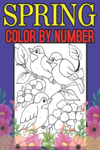 Spring Color By Number: Color By Number Book for Adults Relaxation and Stress Relief (Color by Number Coloring Book for Adults)