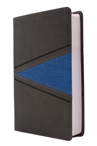 Niv, Boys Bible, Leathersoft, Gray/Blue, Comfort Print