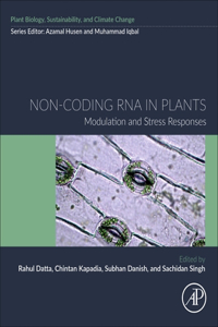 Non-Coding RNA in Plants