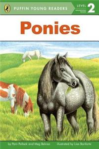PYR LV 2 : Ponies