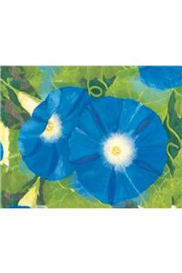Painted Garden Keepsake Box
