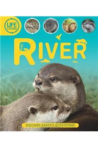 Life Cycles: River