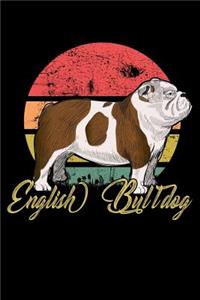 English Bulldog