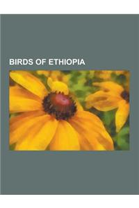 Birds of Ethiopia: Ostrich, List of Birds of Ethiopia, Common Waxbill, Lesser Flamingo, African Silverbill, African Fish Eagle, Saddle-Bi