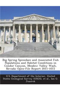 Big Spring Spinedace and Associated Fish Populations and Habitat Conditions in Condor Canyon, Meadow Valley Wash, Nevada