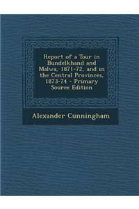 Report of a Tour in Bundelkhand and Malwa, 1871-72, and in the Central Provinces, 1873-74