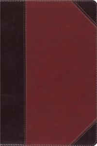 ESV Study Bible, Personal Size