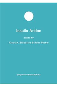 Insulin Action