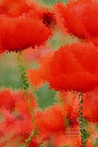 Red Abstract Poppies Journal: (Blank Book, Notebook, Diary)