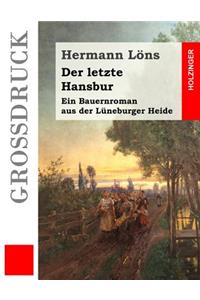 Der letzte Hansbur (Großdruck)
