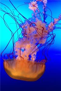 Bright Orange Jellyfish in the Ocean Journal