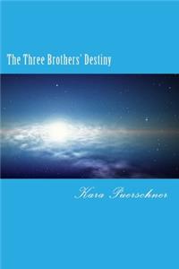 Three Brothers' Destiny