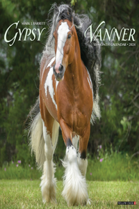 Gypsy Vanner Horse 2024 12 X 12 Wall Calendar