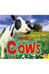 Cows