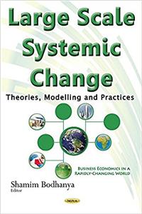 Large Scale Systemic Change