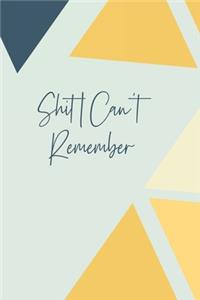 Shit I Can't Remember