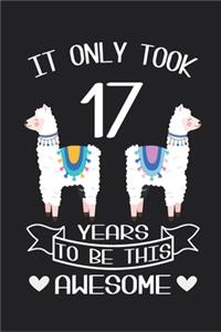 It Only Took 17 Years to be this Awesome