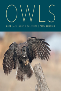 Owls 2024