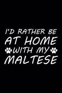 I'd rather be at home with my Maltese