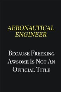 aeronautical engineer because freeking awsome is not an official title