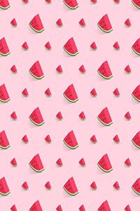 Watermelon Notebook