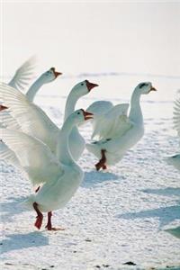 2019 Weekly Planner Winter Theme Snow Geese 134 Pages