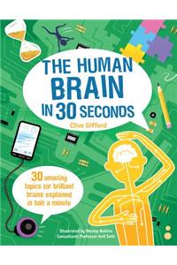 The Human Brain in 30 Seconds