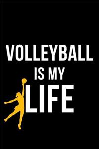 Volleyball Is My Life