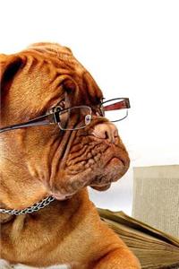 Dogue De Bordeaux Notebook
