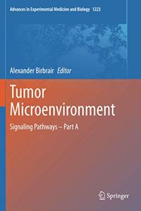 Tumor Microenvironment