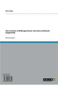 Two Versions of Bildungsromane