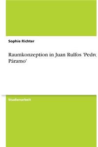 Raumkonzeption in Juan Rulfos 'Pedro Páramo'