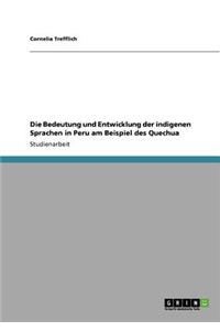 Die Bedeutung und Entwicklung der indigenen Sprachen in Peru am Beispiel des Quechua