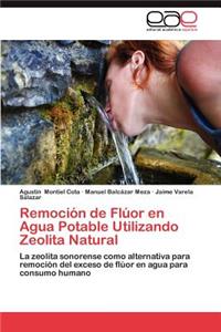 Remoción de Flúor en Agua Potable Utilizando Zeolita Natural