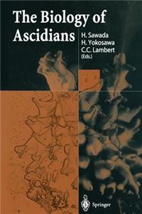 Biology of Ascidians