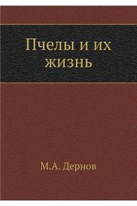 Пчелы и их жизнь