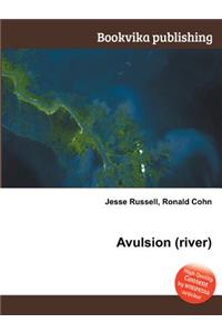 Avulsion (River)