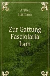 Zur Gattung Fasciolaria Lam.