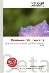Bomarea Glaucescens