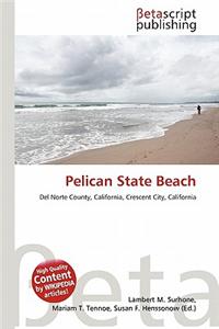 Pelican State Beach