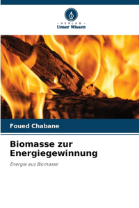 Biomasse zur Energiegewinnung