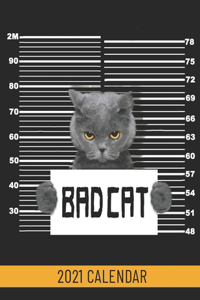 Bad Cat
